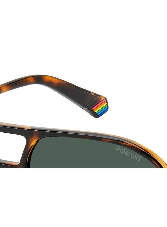Polaroid  Square Double Bridge Sunglasses Frames  | Best Price UAE